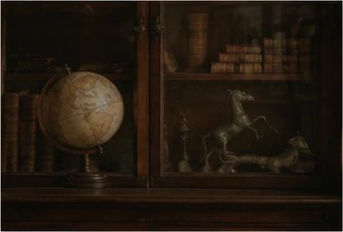 Globe and curiosities in an antique bookcase at Art-Leap Amsterdam